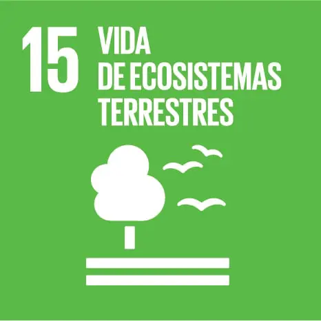 Ecosistemas terrestres Venalmorrazo