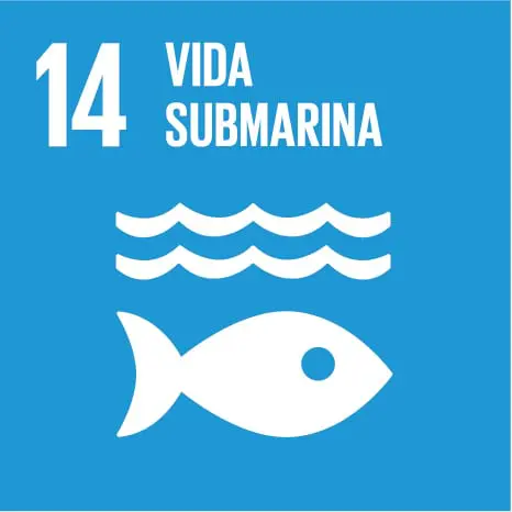Vida Submarina-Venalmorrazo