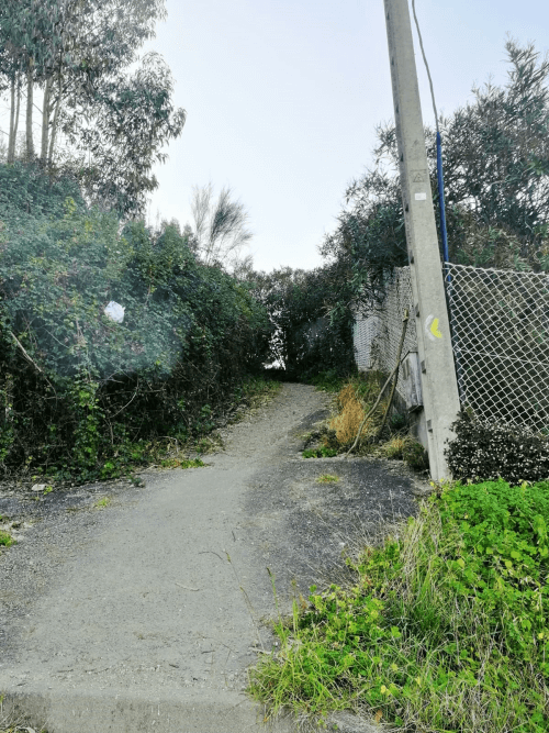 camino de entrada Ruta Beluso - Tulla