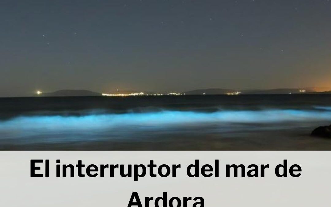 Mar de Ardora en el Morrazo: qué es, cuándo verlo y cómo se produce.