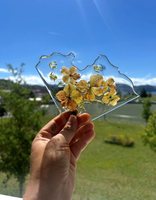 actividades de verano en moaña
